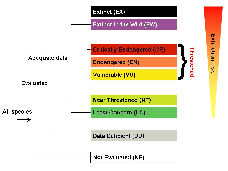 BirdLife Data Zone