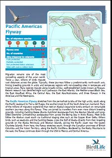 Pacific Americas Flyway