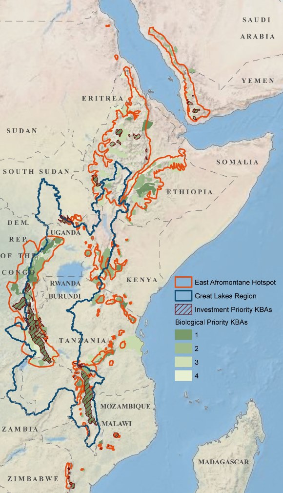 BirdLife Data Zone