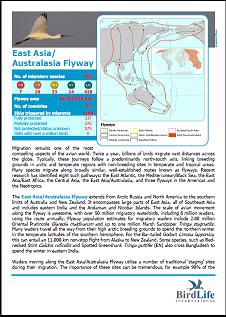 East Asia & Australasia Flyway