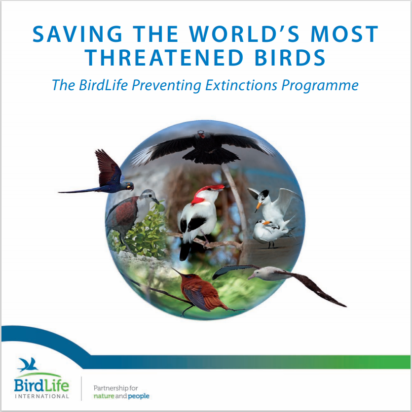 Saving the World's Most Threatened Birds